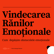Cum Vindecăm Rănile Emoționale? image