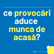 Muncă de Acasă în Perioade de Criză: : Conversații Despre Resurse Umane cu Corina Neagu image
