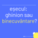 Alexandru Bordea ne spune cum și-a construit companiile prin greșelile făcute image
