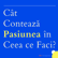Bogdan Nicoară despre a face cu pasiune tot ceea ce faci image
