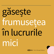 În mod diferit, suntem aceiași oameni - cu Matei Buță image