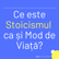 Anastasia Staicu Despre Stoicism ca și Mod de Viață image