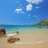 222. XNB Café + Tenger, jó podcast, géming és Panka! 🏝 🎮👩🏻‍💼 image