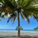 Audio Postcard: Earth Day Meditation from Costa Rica image