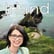 Irland Roadtrip Guide: Authentische Routen und Geheimtipps mit Sabine Barry [OTP312] image