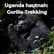 Uganda: Gorillas, Schimpansen, Safari & echte Gänsehautmomente image
