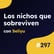+4.000€ al mes en AdSense con estas estrategias de nichos, con Seliyu #297 image