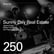 #250 - Sunny Day Real Estate  image