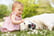 New Baby and the Family Pet image