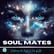 The Truth About Soul Mates image