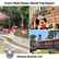 Podcast 276 - Carrie's Walt Disney World Trip Report image