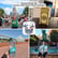 Podcast 256 - Francine's Walt Disney World Solo Trip Report image