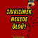 #314 Sivrisinek Nerede Öldü? Bir Diktatörün Şaibeli Sonu  image