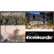 20231129 Nicole Sandler Show - An American/Israeli Shares Her Experience on Oct 7 image