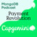 Capgemini’s GenPAL: Payments Data Monetization in Action with MongoDB image