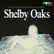 Shelby Oaks Interview with Director Chris Stuckmann image