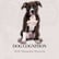 Bonus: Exploring Dog Cognition with Alexandra Horowitz image