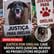 #40: Justice for Orelha image