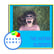 OBG 521: The Human Element image