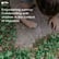Empowering agency: Collaborating with children in the context of migration | Research Ethics image