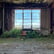 Scary Encounters in Abandoned Buildings with Grey Monstera image