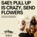 S4E1: Pull Up Is Crazy, Send Flowers (Season Premiere) image