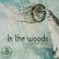 HORREUR LIMINALE - In the woods image