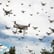 Why Ban Lethal Autonomous Weapons image