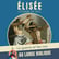 #376 Elisée, l'homme de Dieu (6) La guerre et les rois image