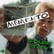 Memento Review : Christopher Nolan Retrospective : GV Classic image