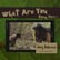 Joey Solimine | On Improving Wildlife Rehabilitation of Amazonian & Neo-Tropical species | s4.1 image