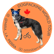 John and Mira | Dogpacking World Tour image