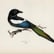 Call Bird by Tabitha Potts image