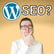 So geht WordPress SEO RICHTIG! | Tim Ehling im #SEODRIVEN Podcast image