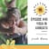 #45 - Non Hollywood-style, Glamorous Instagram yoga- Yoga in Vanuatu with Nicola Barnes image