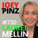 #730 Laurel Mellin: 🧠 Rewiring Your Emotional Brain for Lasting Change image