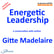 Energetic Leadership – a conversation with author Gitte Madelaire image