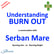 Understanding Burn Out – a conversation with Serban Mare  image