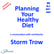 Planning Your Healthy Diet - a conversation with nutritionist Storm Trow image