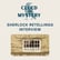 Sherlock Retellings part 2: Interview with Anna Elliott and Charles Veley image