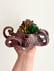 #252 Octopus Planters, ADHD, and Resilience w/ Jane Brooks image