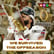 Week Zero Preview + Playoff Predictions! Kickoff Special - Episode 315 image