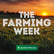 All valid’ ACRES applicants have been accepted | The end of ‘blue cards’? | More farm contractors exiting | Sextuplets in Cavan image