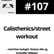 #107 Calisthenics/street workout image