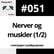 #051 Nerver og muskler v. Jesper Lundbye-Jensen (1/2) image