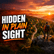 The Hidden Data Behind Human Trafficking in America image