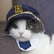 184: Pet Detectives Unit image
