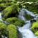 Nuestra Naturaleza ante el Calentamiento Global image