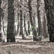 Destructores y protectores de la Naturaleza  image