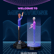 Guide to Metaverse NFT Marketplace Development image
